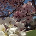 Ty Rees Photo 4