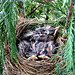 Robin Rutherford Photo 15