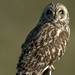 Barbara Wheeler Photo 38