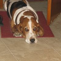 Eugene Moody Photo 9