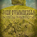 John Tumminello Photo 12