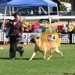 Kim Rogers Photo 6