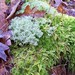 Kathy Moss Photo 34