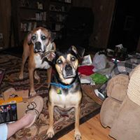 Ellen Mckay Photo 13