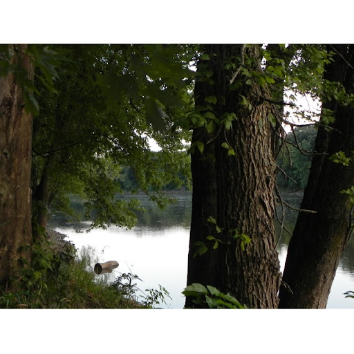 Sarah Whitten Photo 38