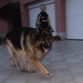 Don Erwin Photo 12