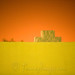Dawn Alger Photo 10