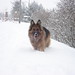 Kelly Tedesco Photo 16