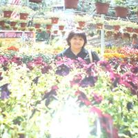 Lan Li Photo 1