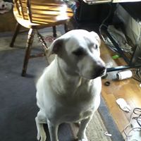Annie Long Photo 11