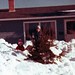 Ray Rich Photo 45
