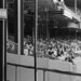Alan Parrish Photo 45