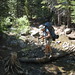 Michele Leavitt Photo 7