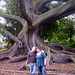Jayne Stephens Photo 15