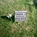 Thomas Steele Photo 50
