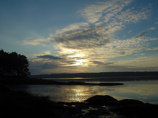 Sherry Norton Photo 10