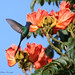Linda Conway Photo 11