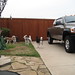 Sonya Bell Photo 32