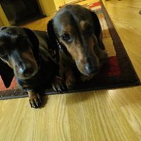 Nancy Schafer Photo 11