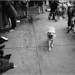 Randall Vickers Photo 7