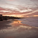 Terry Ward Photo 43
