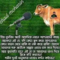 Mohammed Chowdhury Photo 21