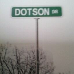 Cheryl Dotson Photo 8