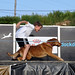 James Stoltzfus Photo 9