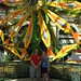 Stephanie Gamble Photo 13