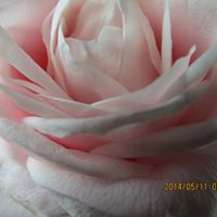 Kathy Good Photo 27