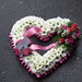 Violet Smith Photo 12