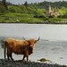 Elizabeth Macleod Photo 33