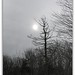 Bradley Weeks Photo 11