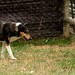 Joyce Berk Photo 8