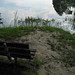 Alice Banks Photo 31