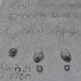 John Titone Photo 15