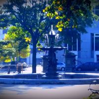 Pat Ham Photo 8
