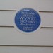 Thomas Wyatt Photo 25