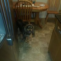 Terri Sayers Photo 10