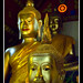Yu Chiang Photo 13