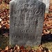 John Whiteman Photo 12