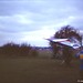 Dave Power Photo 12