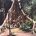Jon Horner Photo 29
