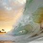 Dianne Mitchell Photo 29