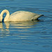 Maria Swan Photo 6