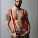 David Dillon Photo 33