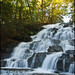 John Vogel Photo 16