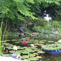 Janice Rhodes Photo 16
