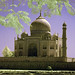 Daniel Shah Photo 15
