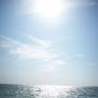 Amy Shepard Photo 44